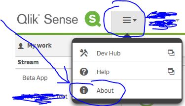 Qlik Sense Server Version.JPG